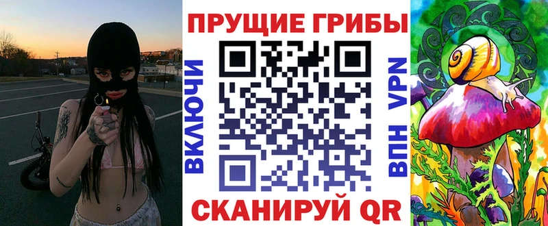 кракен онион Шилка Псилоцибиновые грибы мухоморы